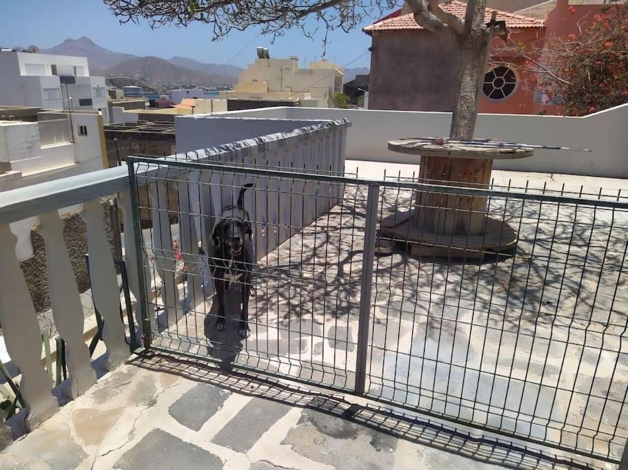 Vivenda Com Patio, No Coracao Do Mindelo Villa Kültér fotó